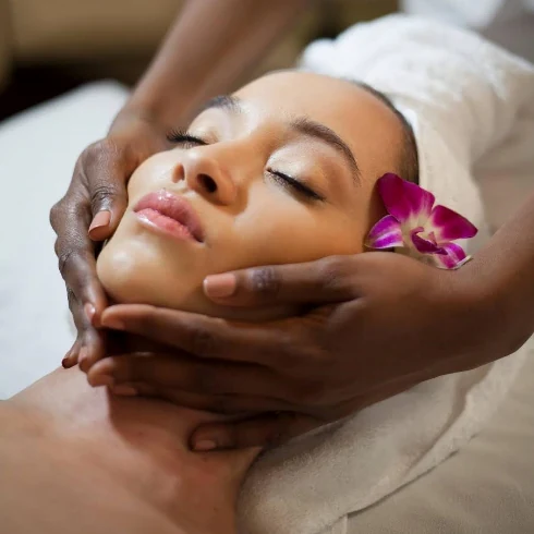 Anti-Aging Facial (90min)